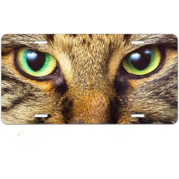 Номерной знак Cat Green Eyes Алюминиевый Металлический номерной знак Автомобильная бирка Новинка Украшение дома для женщин Девочек Мужчин Мальчиков 6X12 дюймов