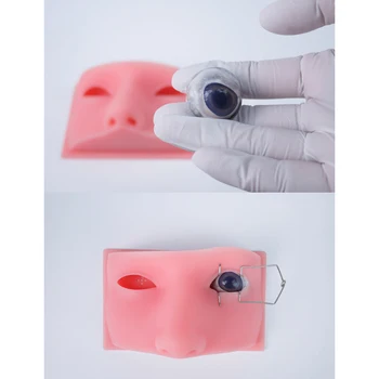 Офтальмологическая модель головы, микрохирургия, упражнения для глаз животных, высококачественная силиконовая офтальмохирургическая модель