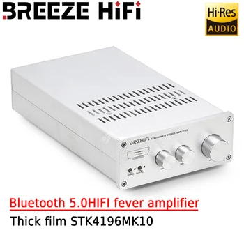 Стереосистема BREEZE HIFI Hi-Fi Намного превосходит Толстопленочный усилитель LM3886 STK4196MK10 Bluetooth 5.0HIFI Fever